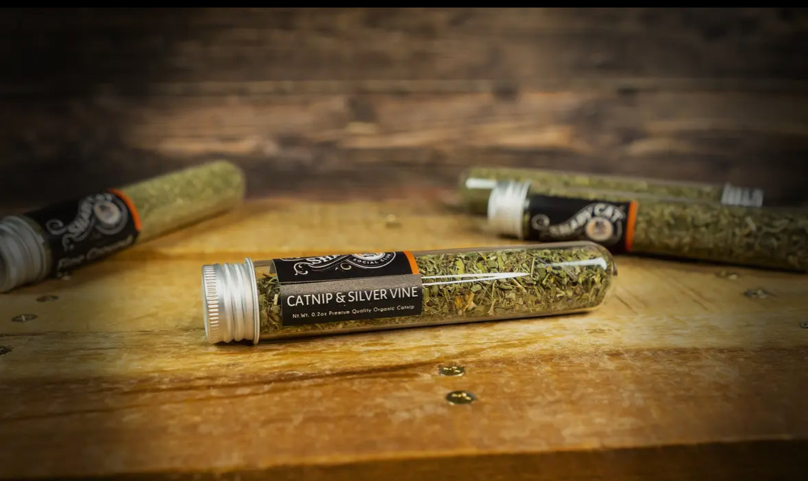Organic Catnip