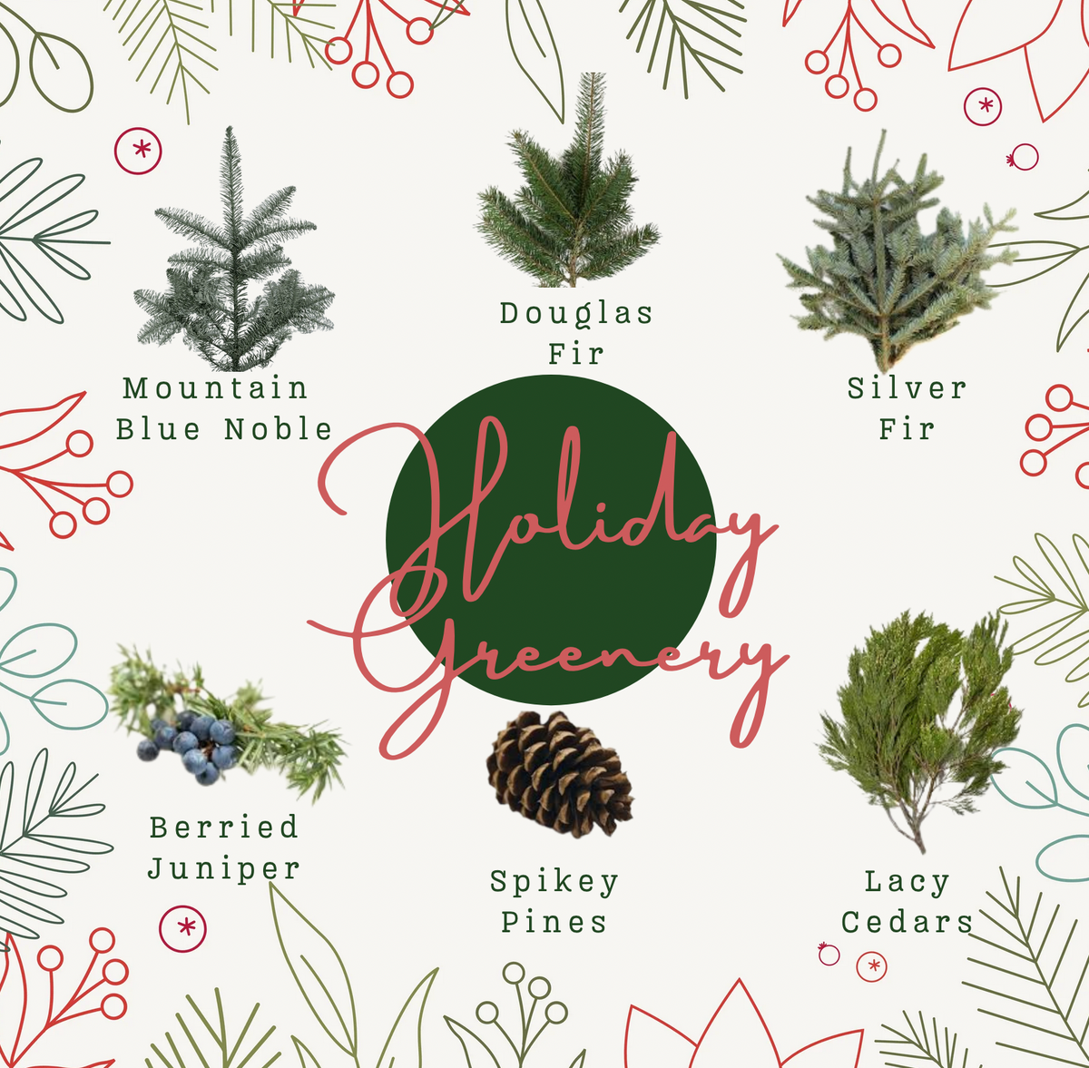 Holiday Greenery