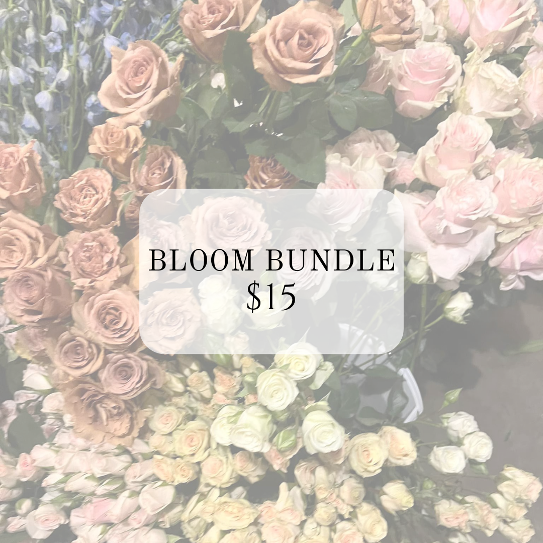 bloom bundle $15