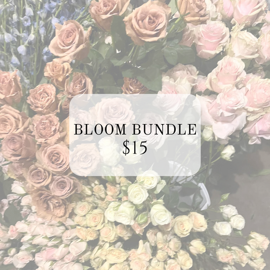 bloom bundle $15