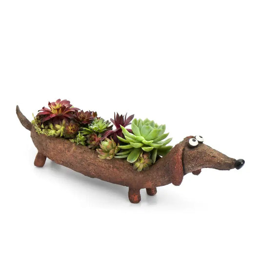 Wiener Dog