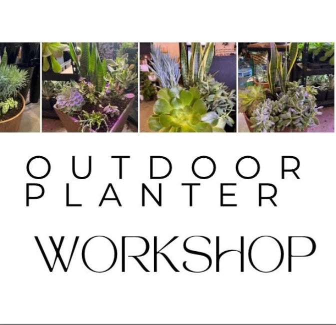 Outdoor planters workshop