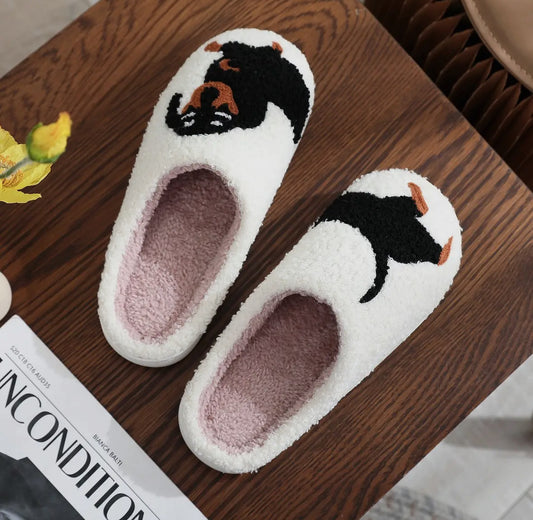 Slippers- dachshunds