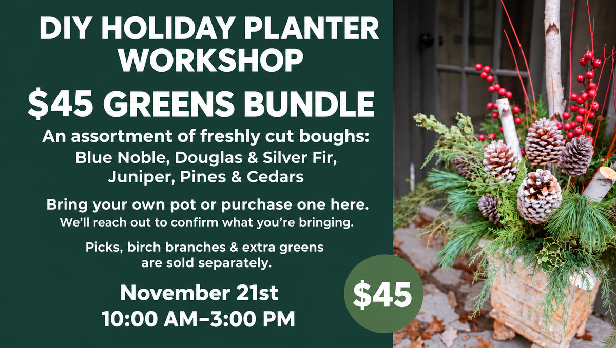 Holiday Planter RSVP